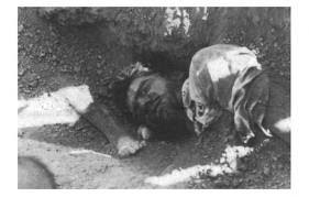 iran's-crimes-against-humanity